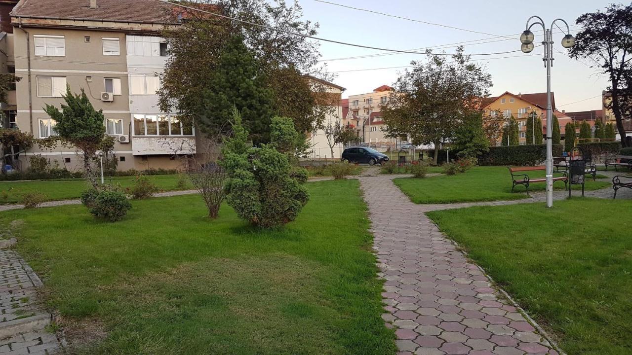 Apartament Ema Baile Felix Διαμέρισμα Εξωτερικό φωτογραφία